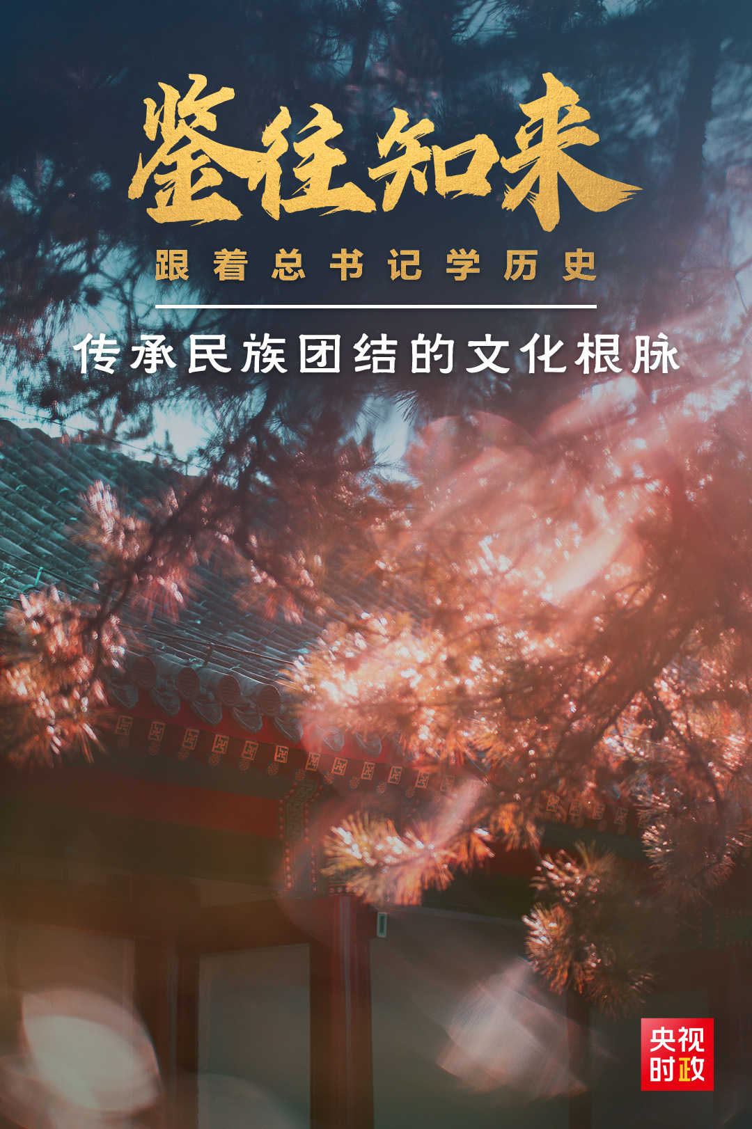 鑒往知來丨跟著總書記學(xué)歷史：從承德之行看如何傳承民族團(tuán)結(jié)的文化根脈