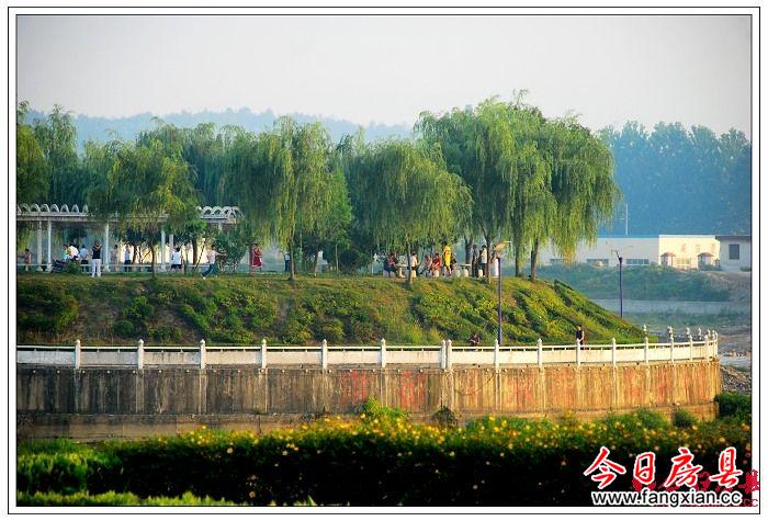 西河晨練圖