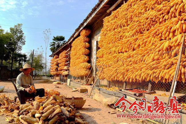 豐收的喜悅