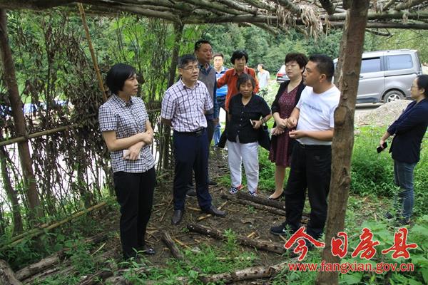 楊玉華一行在青峰鎮峪坪河村調研