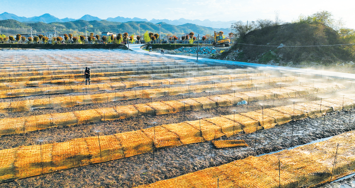 建設節水工程 助力農業增效