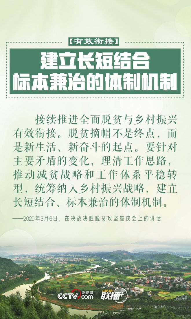 做好鄉(xiāng)村振興大文章 習近平反復(fù)強調(diào)這四個字