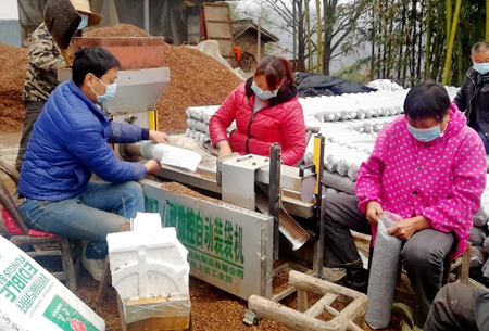房縣：300多名科技特派員下沉一線，防疫、生產齊發(fā)力