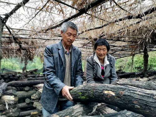 《我的脫貧故事》之二  孟長林：“家門口”的增收路