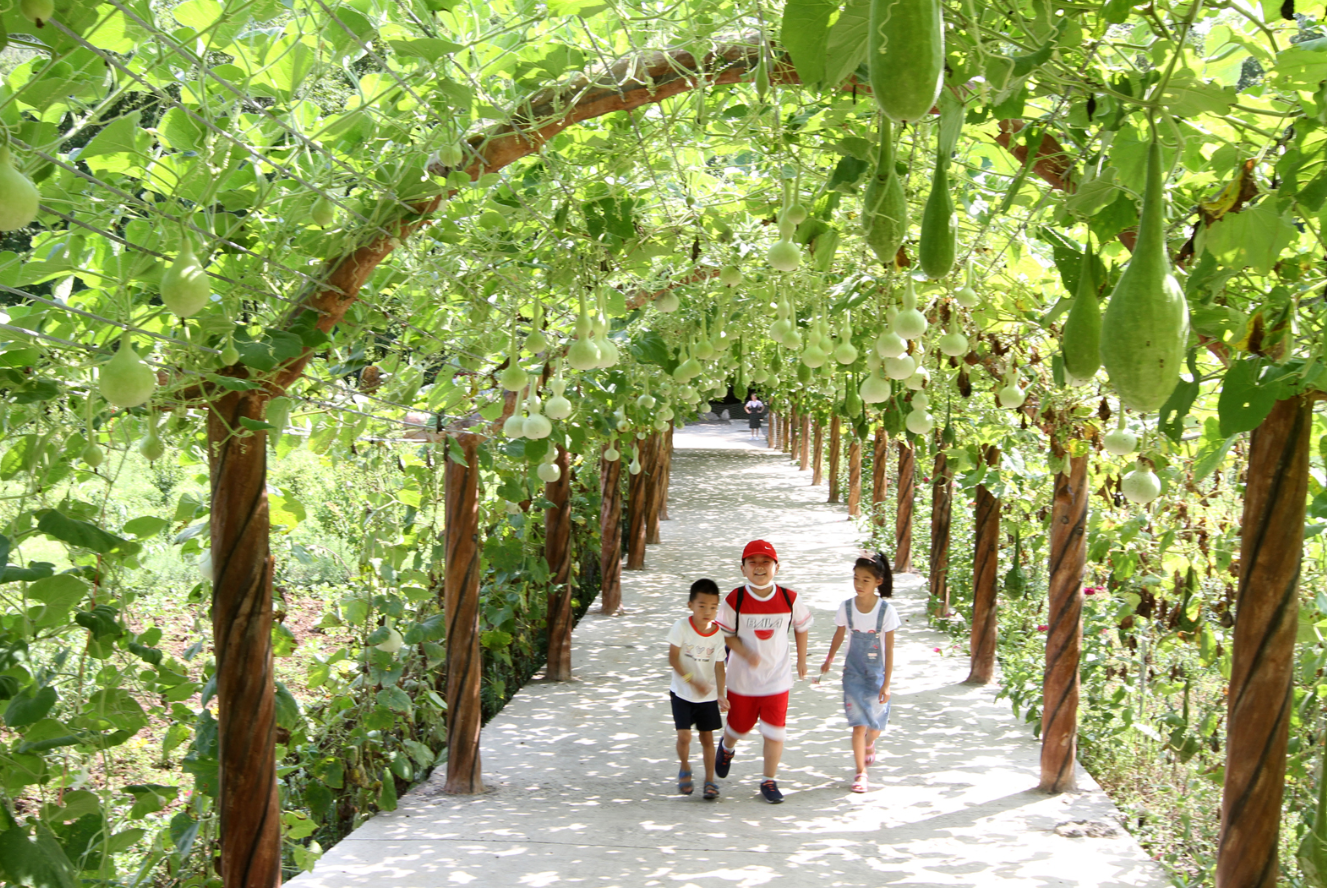 房縣鄉村旅游促進農民增收