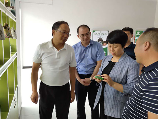 胡志莉在房調研時強調：強化保障力 提升發(fā)展力