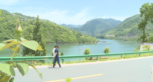 縣政協開展農村人居環境整治工作視察活動