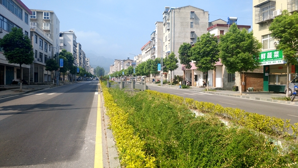 王玲要求：合力創建“示范路”“嚴管街” 讓群眾出行更安全
