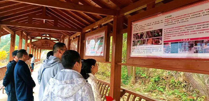 縣委黨校組織黨外干部開展 “追尋紅色足跡 傳承革命精神”研學(xué)活動(dòng)