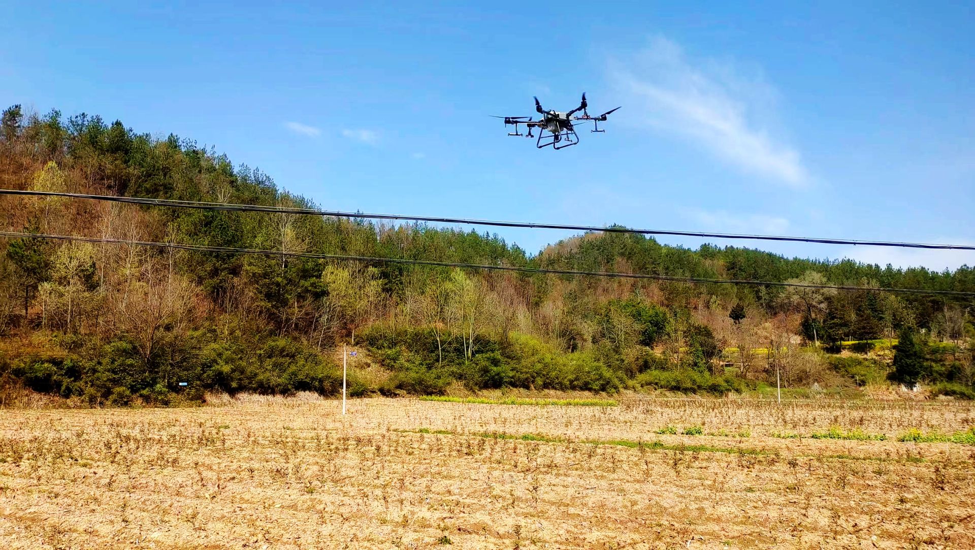 門古寺鎮項家河村：無人機噴藥百畝茶葉園 工作隊精準幫扶解民憂