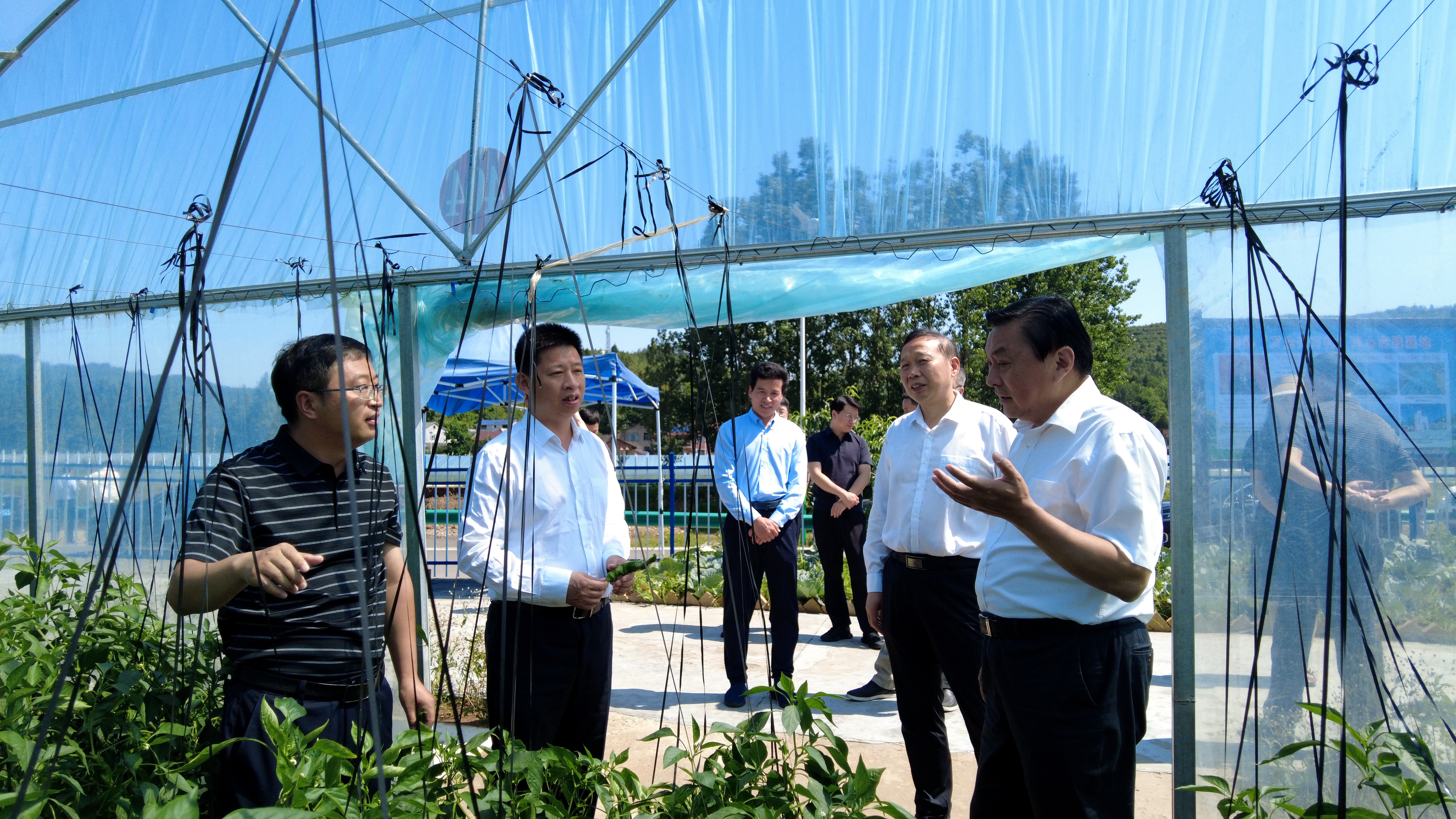 市政協來房調研“一線協商 共同締造”工作