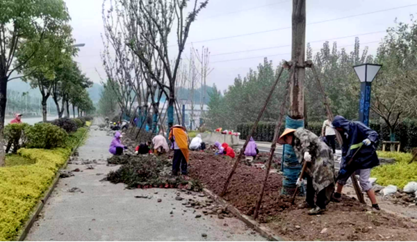 縣住建局：借雨保墑 冒雨作業 營造節日氛圍再加速