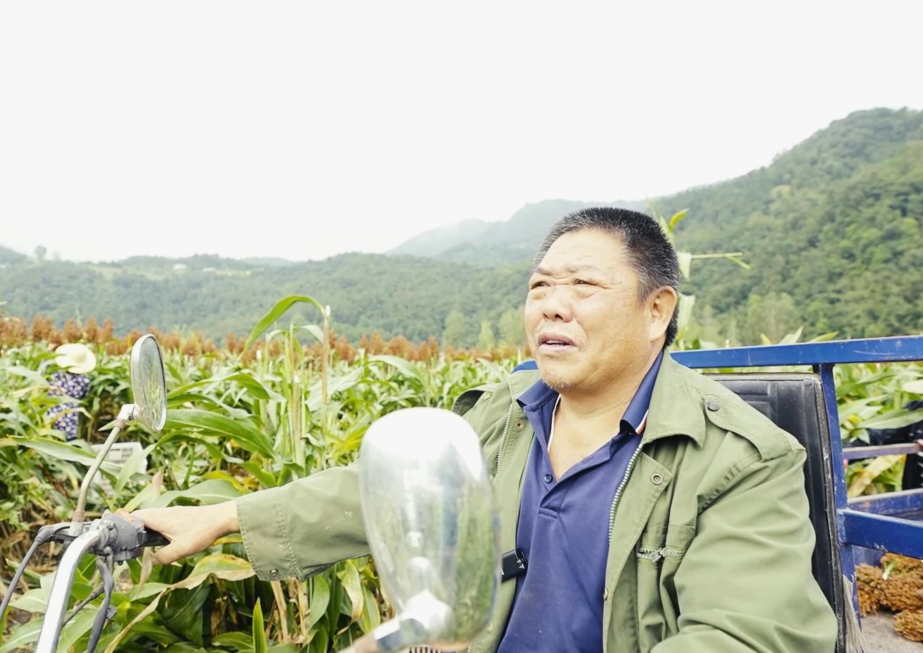 農(nóng)戶徐伯府.jpg 農(nóng)戶徐伯府.jpg