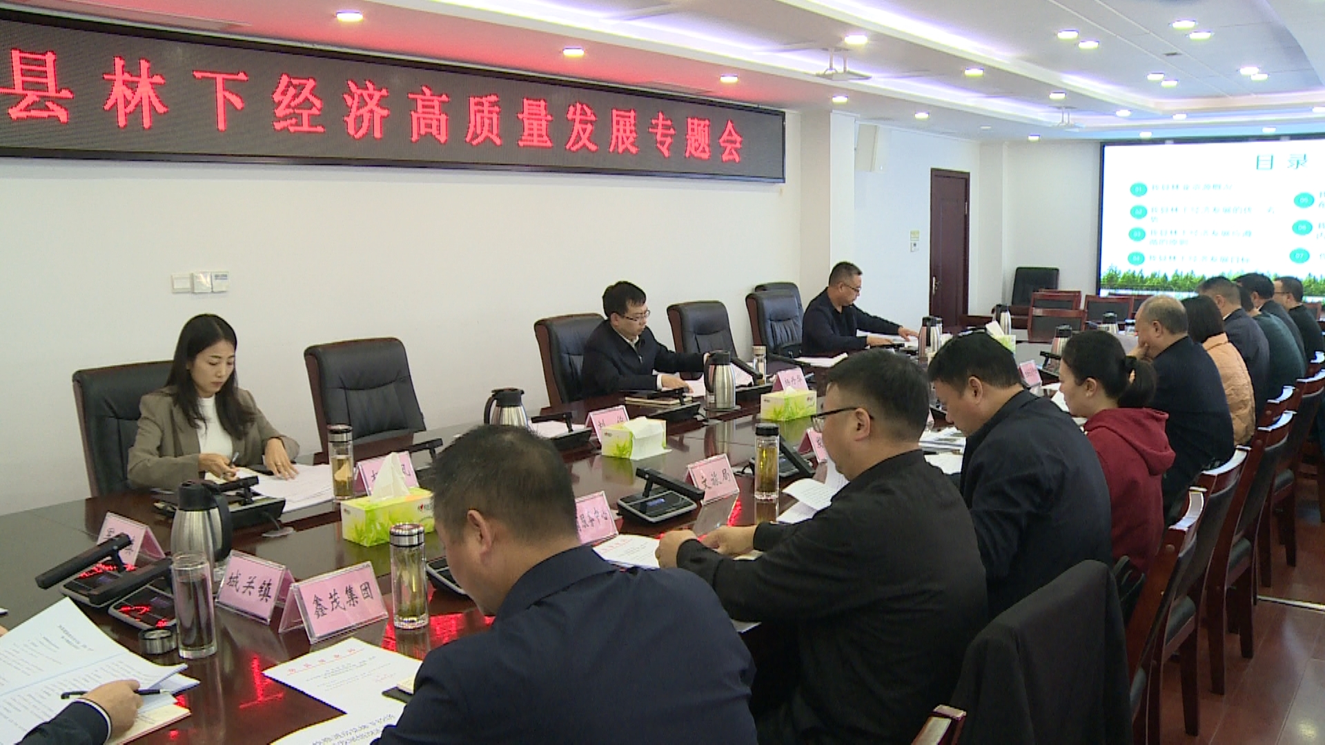 楊丹華主持召開全縣林下經濟高質量發展專題會