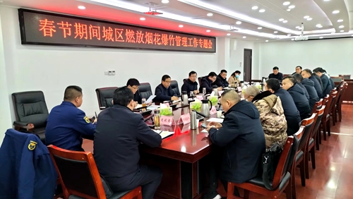 楊丹華要求：安全文明有序燃放煙花 安定歡樂祥和歡度春節