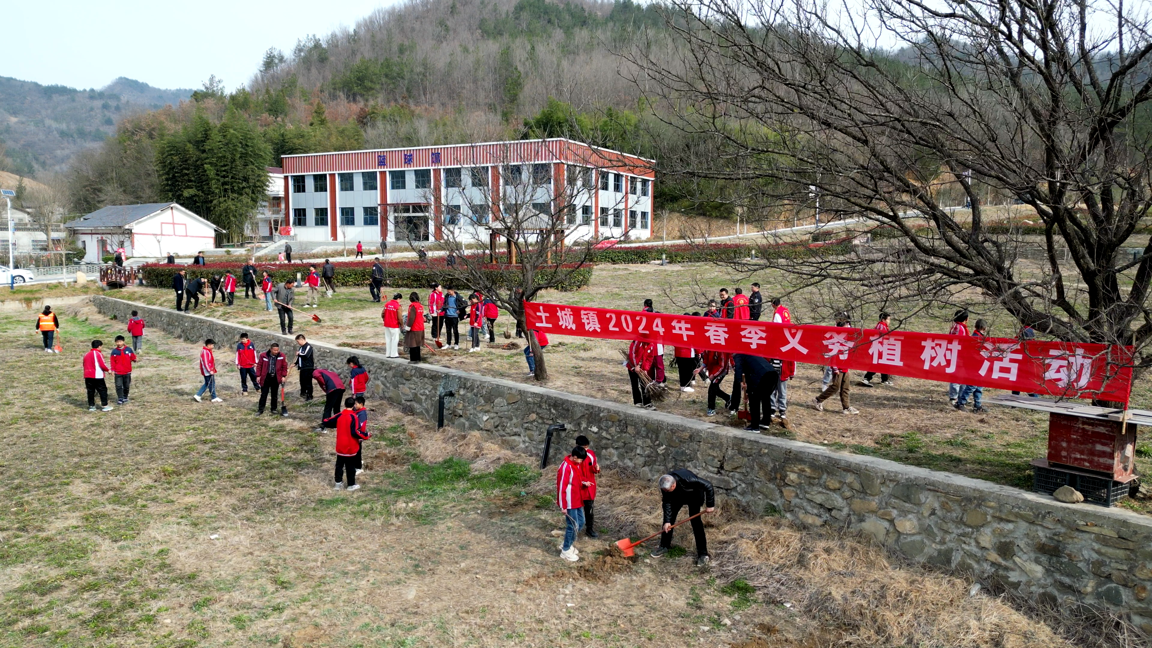 為大地添綠 土城鎮(zhèn)栽種6000余株樹苗