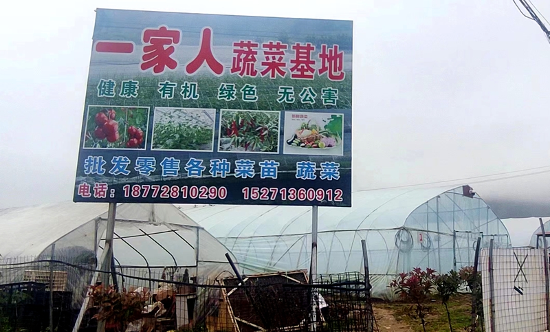 房縣一家人蔬菜基地：年銷100萬(wàn)棵蔬菜苗