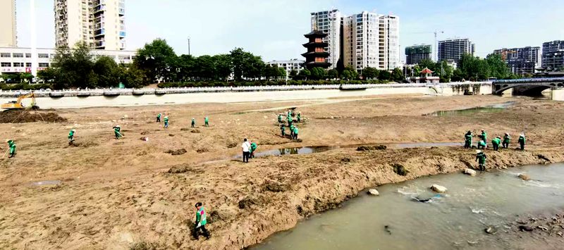 縣住建局：清理河道水草 守護水域環境