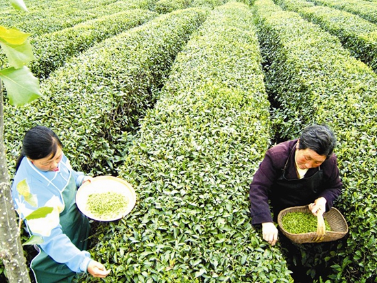 櫛風沐雨促大興