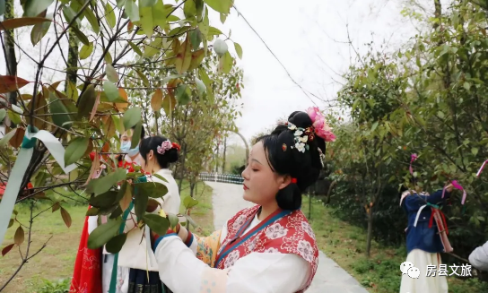 房縣這群時(shí)空“穿越者”，行走在高橋村的油菜花地里......